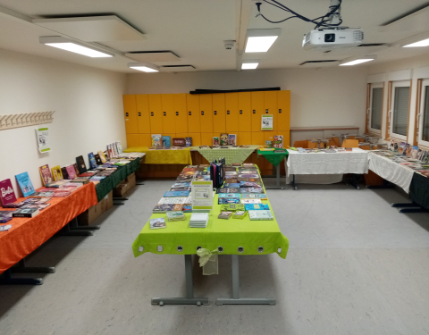 Eine Schulklasse voller Bücher