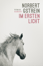 Im ersten Licht - Roman