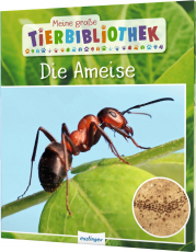 Meine große Tierbibliothek: Die Ameise - Sachbuch für Vorschule & Grundschule