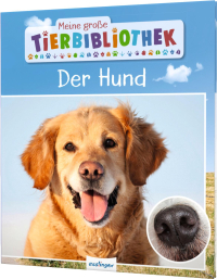 Meine große Tierbibliothek: Der Hund - Sachbuch für Vorschule & Grundschule
